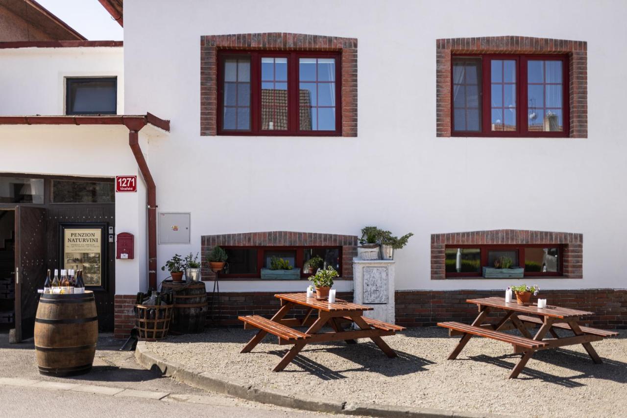 Penzion A Vinarstvi Naturvini Miroslav  Exterior photo